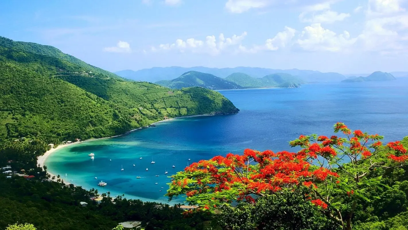 高质量高端